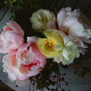 Fundraising Page: Camille Ellsworth